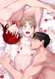 Bed for Three